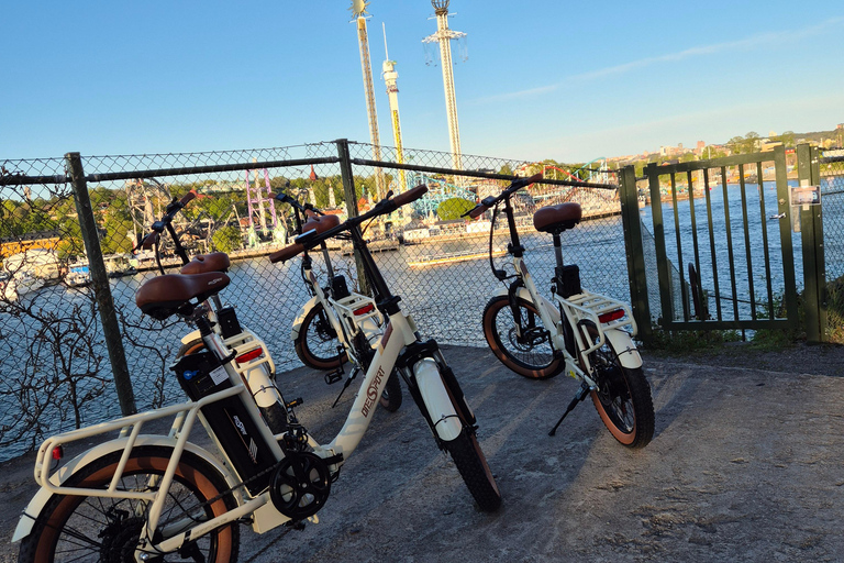 Stockholm: E-Bike City Tour