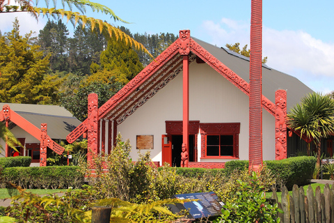 Rotorua: Glowworm Cave, Redwoods Forest & Te Puia Tour