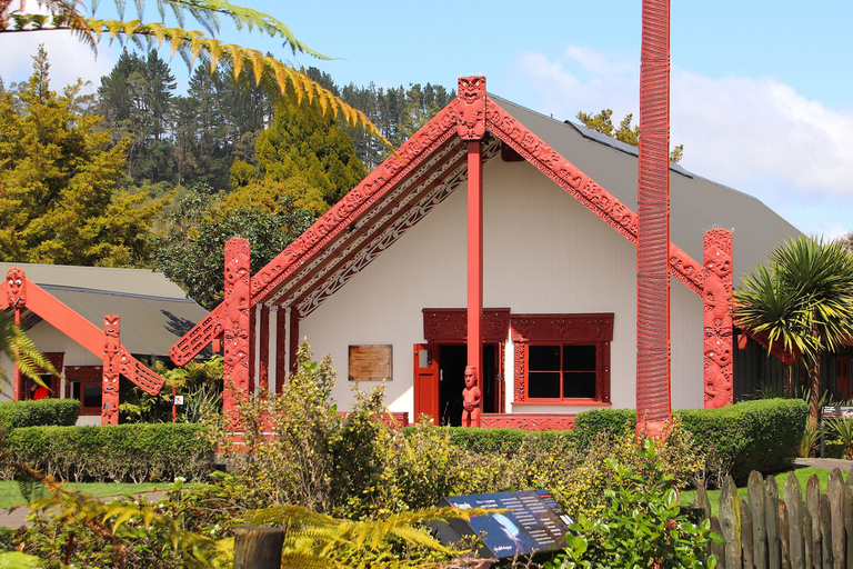 Rotorua: Glowworm Cave, Redwoods Forest & Te Puia Tour