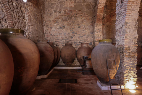 Visite guidée de la cave-musée Cella Vinaria Antiqua
