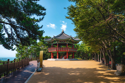 Autumn Special: 2 Activities + Dinner Only 4 Exclusive Dates