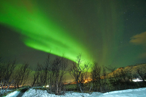 Chase the Magic of the Northern Lights in Tromsø Norway