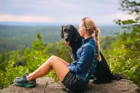 Oslo: Yoga & Hiking with a dog