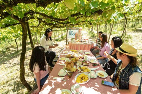 From Gramado: Cultural Tour in Farroupilha with Winery and Lunch From Gramado: Cultural Tour in Farroupilha with Winery & Lunch