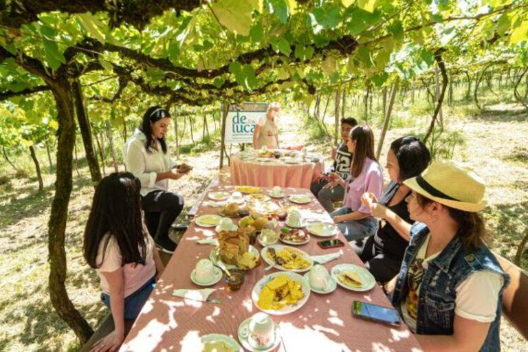 From Gramado: Cultural Tour in Farroupilha with Winery and Lunch From Gramado: Cultural Tour in Farroupilha with Winery & Lunch