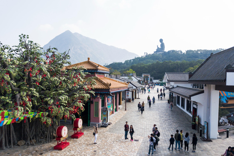 Hong Kong : 360 Lantau Culture & Heritage Tour Crystal Cabin Tour + Lunch at Tai O Heritage Hotel