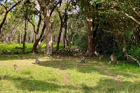 Mauritius South Highlights – Chamarel & Nature Wonders SOUTH GUIDED TOUR STANDARD CAR