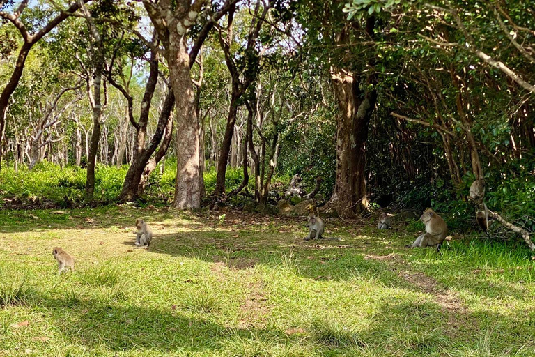 Mauritius South Highlights – Chamarel & Nature Wonders SOUTH GUIDED TOUR STANDARD CAR