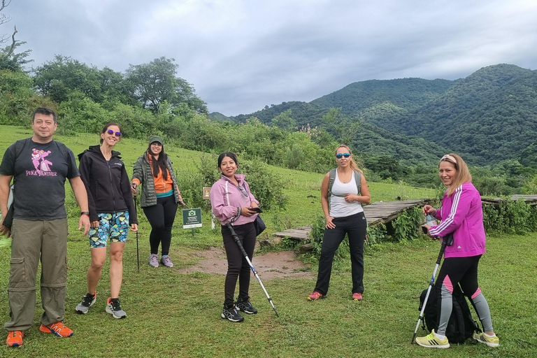 From Salta: Cerro Elefante "Trekking in the Yungas of Salta"