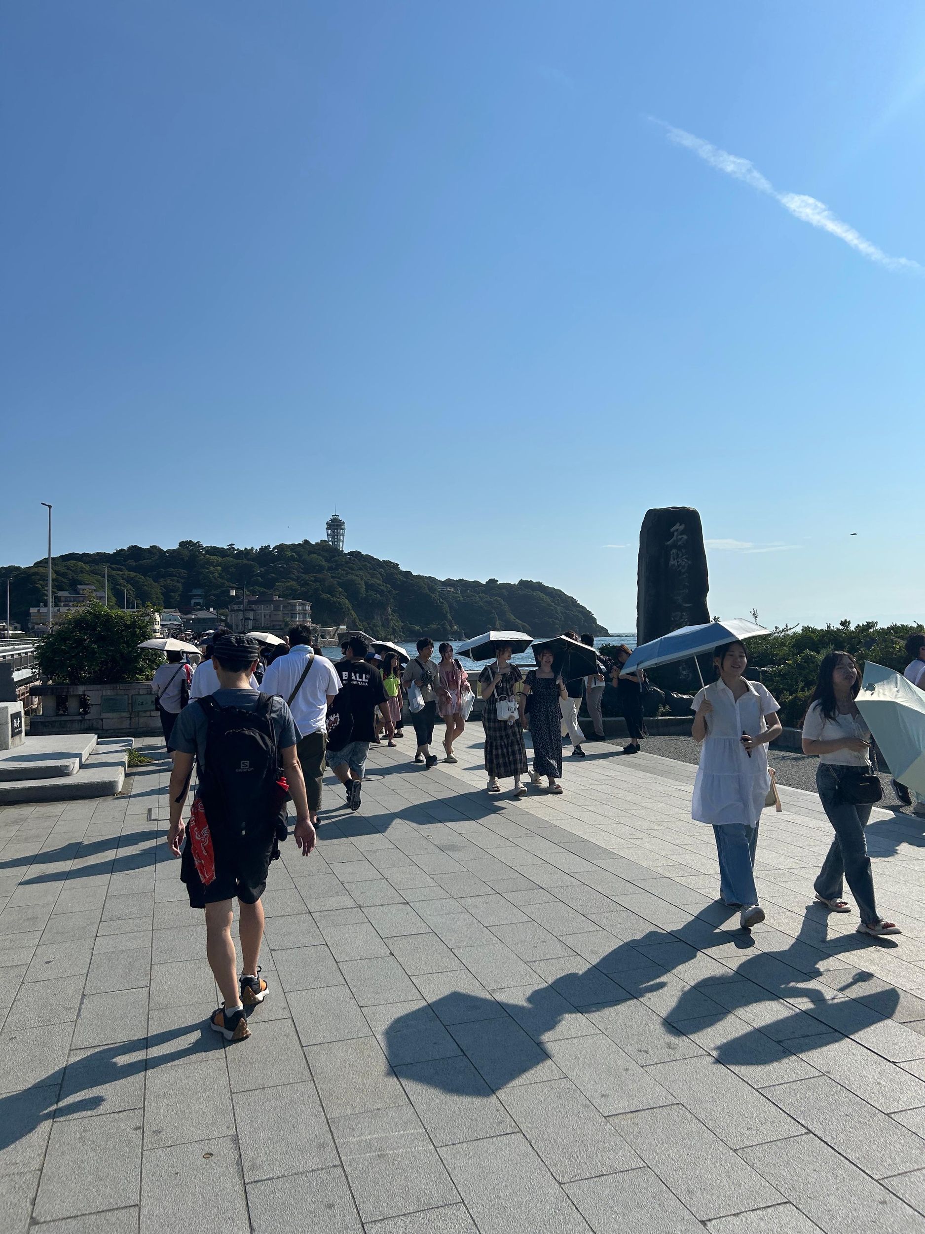 Kamakura & Enoshima: Großer Buddha, Schreine und Meerblick