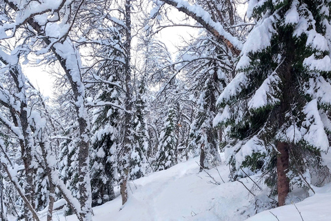Tromsø Street to Wilderness: Guided Snowshoe Hike