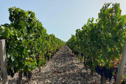 Tour de vino de un día completo en Saint Emilion y Margaux