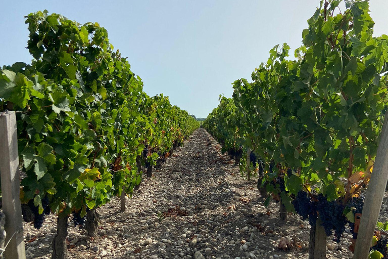 Tour de vino de un día completo en Saint Emilion y Margaux