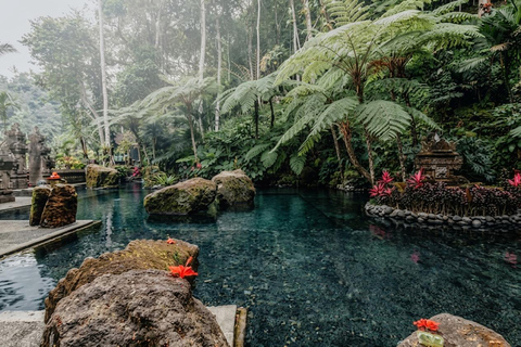 Ubud: Traditional Purification Ceremony, Lunch, and Spa Day