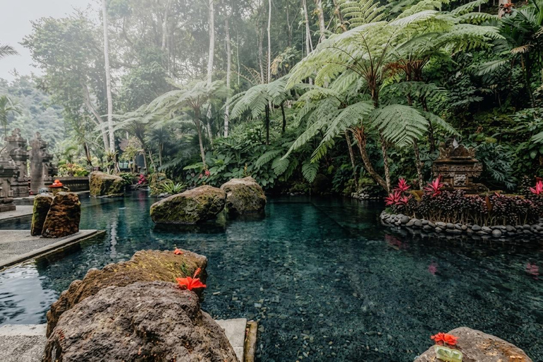 Ubud: Traditional Purification Ceremony, Lunch, and Spa Day