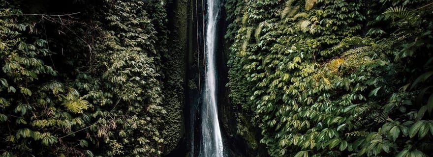 Nord de Bali : Forêt de singes - Chutes d'eau - Rizières en terrasses - Ulun Danu