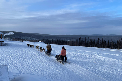 Fairbanks, Alaska: Tag Sled Dog Mushing Experience