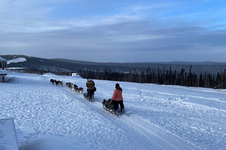 Fairbanks, Alaska: Tag Sled Dog Mushing Experience