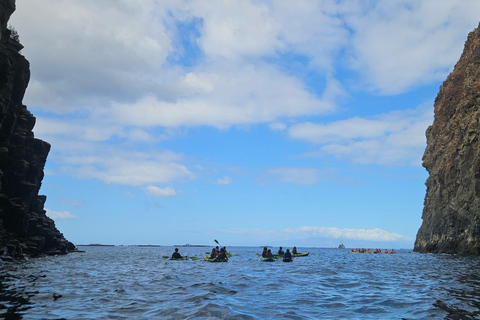Tenerife: Turtle Bay - Kayak Rental with Drink and Equipment