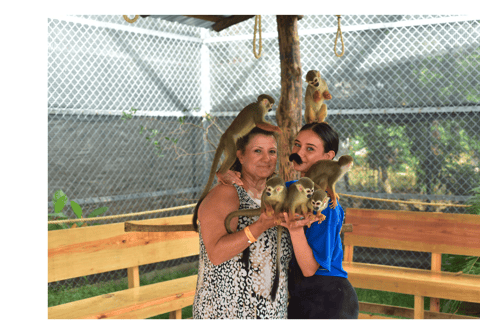 Puerto Plata: Monkey Home Sanctuary Tour with Pickup