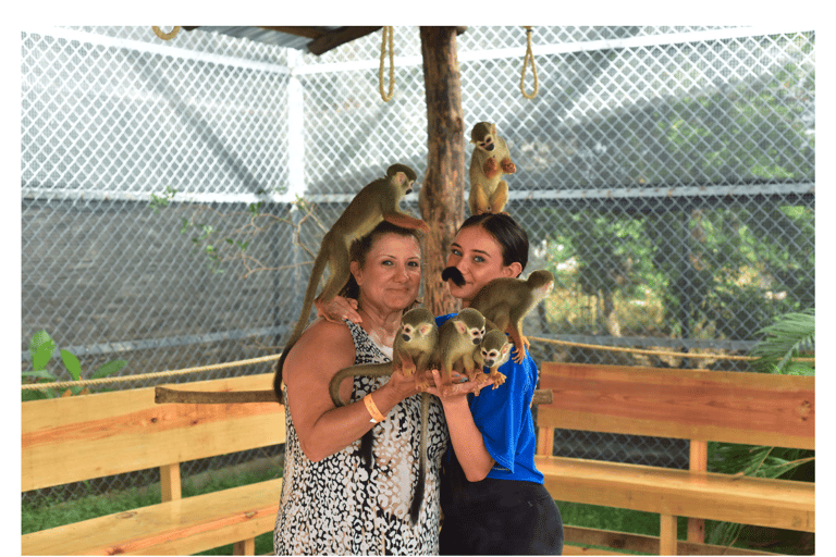 Puerto Plata: Monkey Home Sanctuary Tour with Pickup