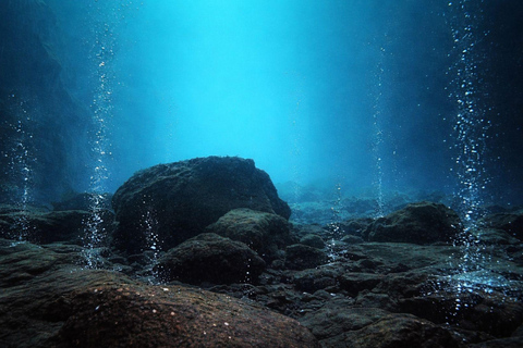 Ischia: Guided Snorkeling among Caves and Submerged Ruins