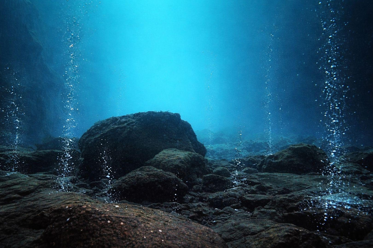 Ischia: Guided Snorkeling among Caves and Submerged Ruins
