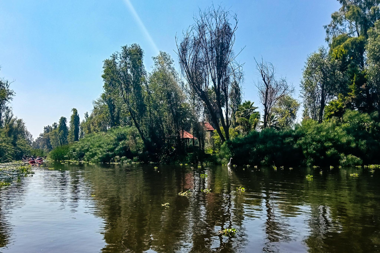 Xochimilco: Original Doll Island, & Axolotl Tour Mexico City: Canals, Original Doll Island, & Axolotl Tour
