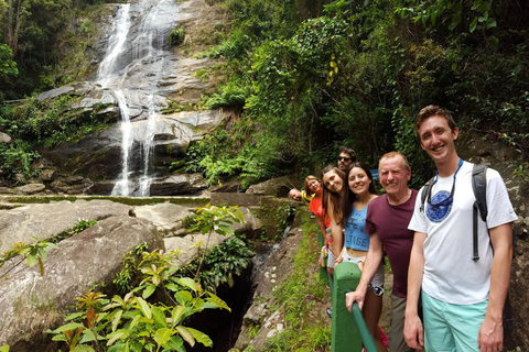 Nature&#039;s Marvels: Jardim Botânico &amp; Tijuca Forest in Rio