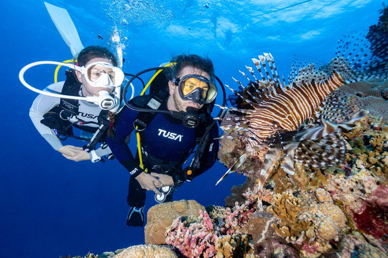 Zakynthos: Scuba Diving Experience with Underwater Photos Double dive discover scuba diving course