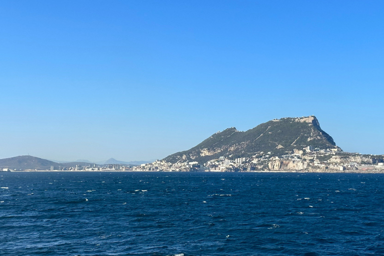 Algeciras: Ferry Journey Between Algeciras and Ceuta Same-day Round-trip From Algeciras to Ceuta (One Way)