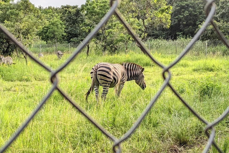 From Accra: Shai Hills Safari, Waterfall, and Boat Tour