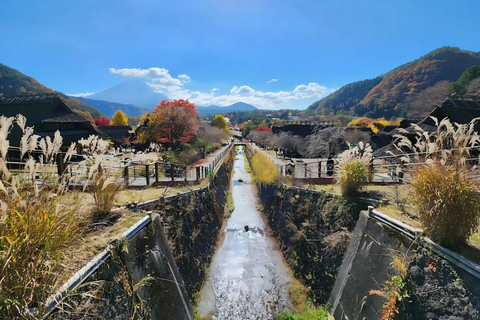 Tokio: Ganztagestour zu den vier majestätischen Orten des Mt. Fuji