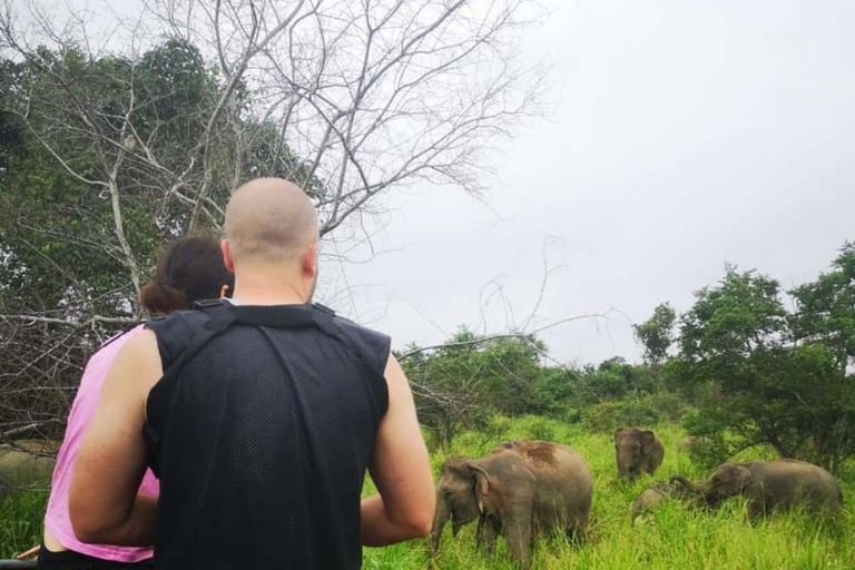 Minneriya Safari from Sigiriya Eco Jeep Adventure