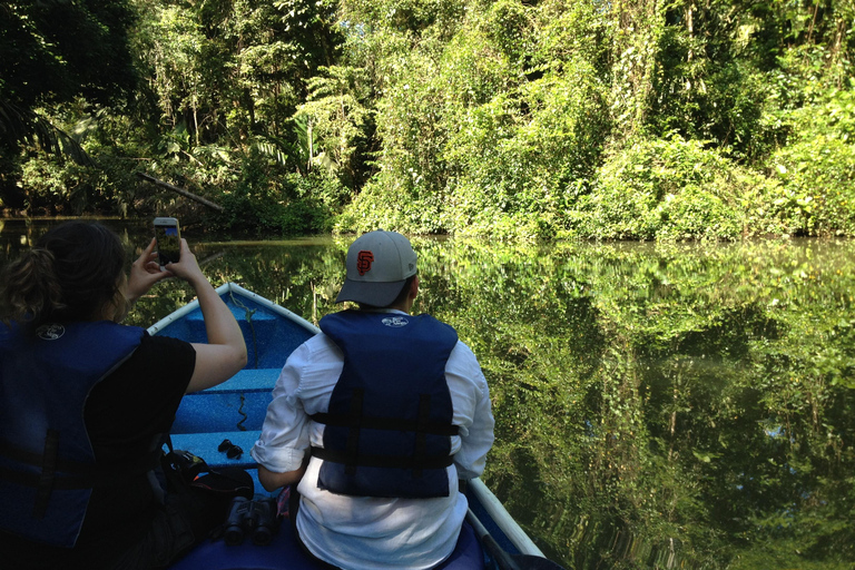 Tortuguero: Passeio de canoa e observação da vida selvagem