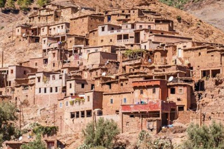 Desde Marrakech: montañas del Atlas, valle de Ourika y paseo en camello