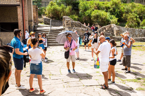 Pompeii: Group Guided Tour With Optional Tickets Tour without Tickets