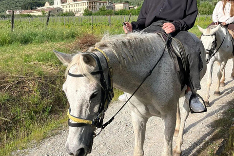 Certosa di Calci: Horseback Riding Experience for Beginners in Nature Horseback ride with aperitif