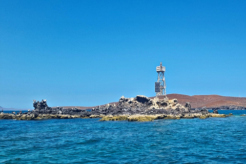 La Paz: Sea Lions & Mega-Paddleboard Tour in Balandra