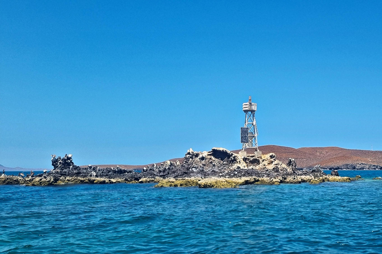 La Paz: Sea Lions & Mega-Paddleboard Tour in Balandra