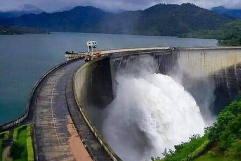 Scenic Highland Journey: Private Transfer from Kandy to Ella