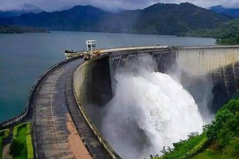 Scenic Highland Journey: Private Transfer from Kandy to Ella