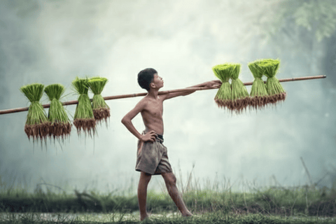 Kathmandu: Monsoon Magic! Eat, Explore, Capture the Rain