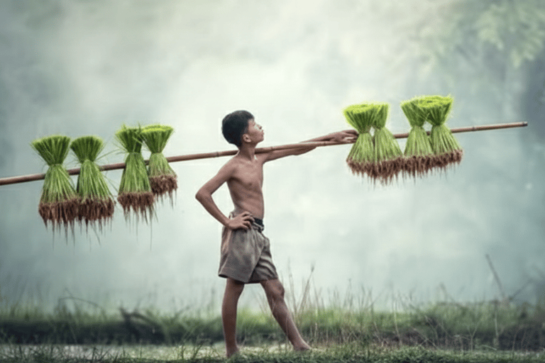 Kathmandu: Monsoon Magic! Eat, Explore, Capture the Rain