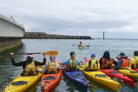 Maine: Penobscot River Guided Kayaking Tour