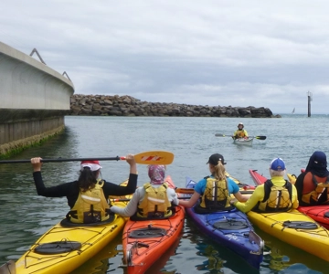 Maine: Penobscot River Guided Kayaking Tour