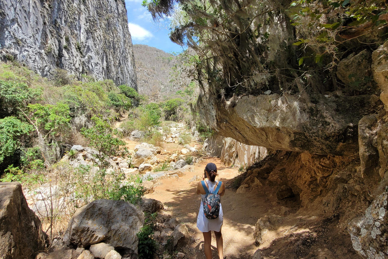 Oaxaca: Apoala Waterfalls Camping Adventure