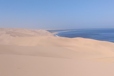 Walvis Bay: Sandwich Harbour Half-Day 4x4 Tour