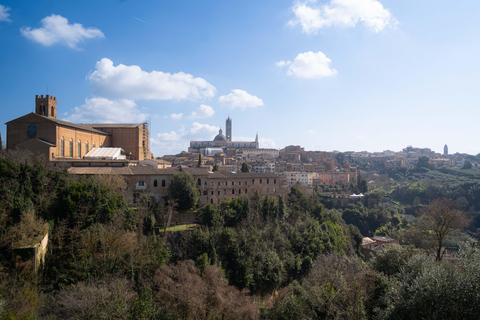Florence: Tuscany 1-Day Flexible Sightseeing Bus Tour