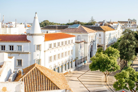 Best of Faro: Private Walking Tour with a Local Private City Walking Tour - 3Hr